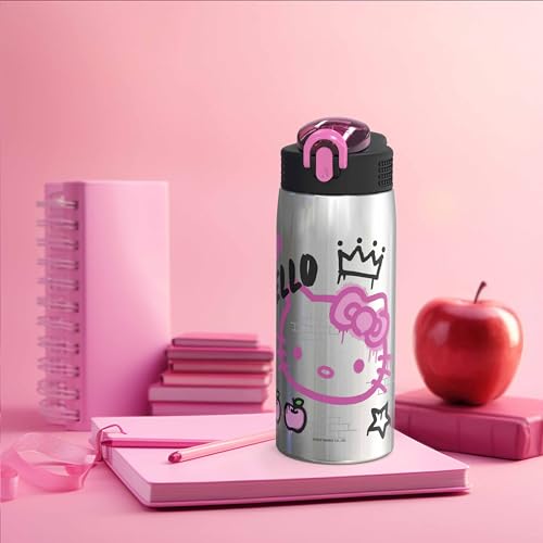 Sanrio Water Bottle, 19 oz Vacuum Insulated Stainless Steel with Locking Spout Cover, Built-In Carrying Loop, Leak-Proof Design