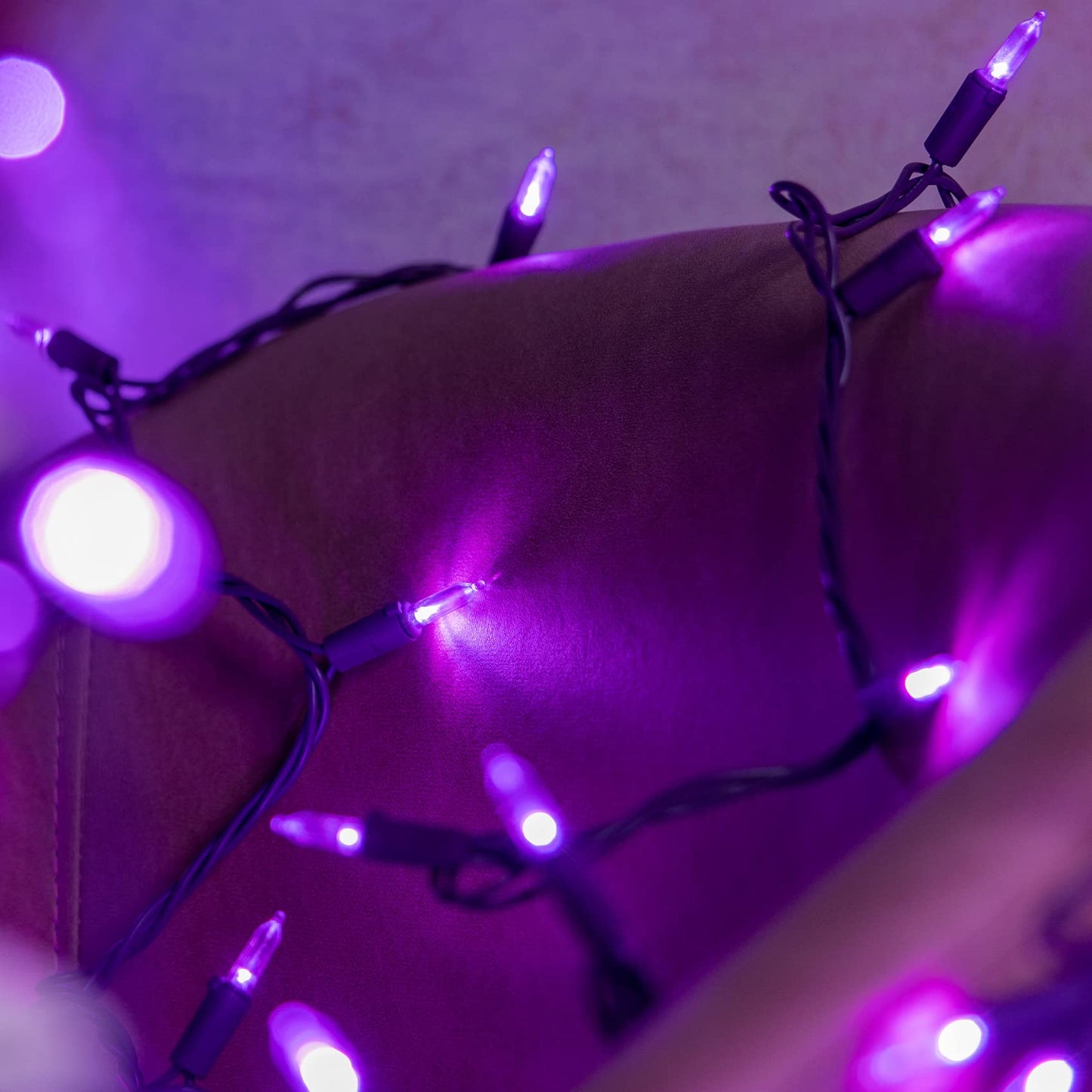 LED Christmas Lights with Color Wire