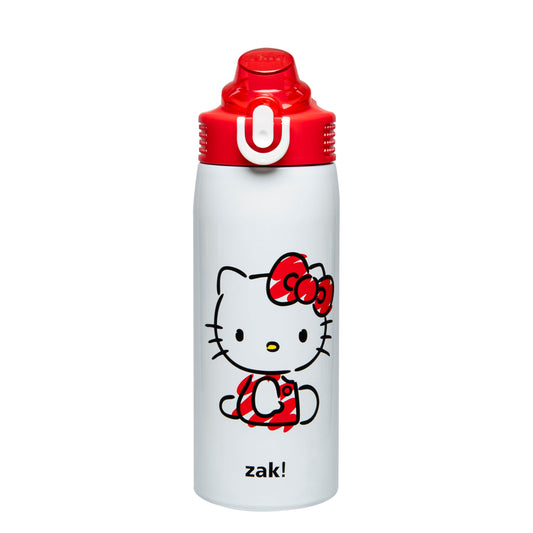 Sanrio Water Bottle, 19 oz Vacuum Insulated Stainless Steel with Locking Spout Cover, Built-In Carrying Loop, Leak-Proof Design