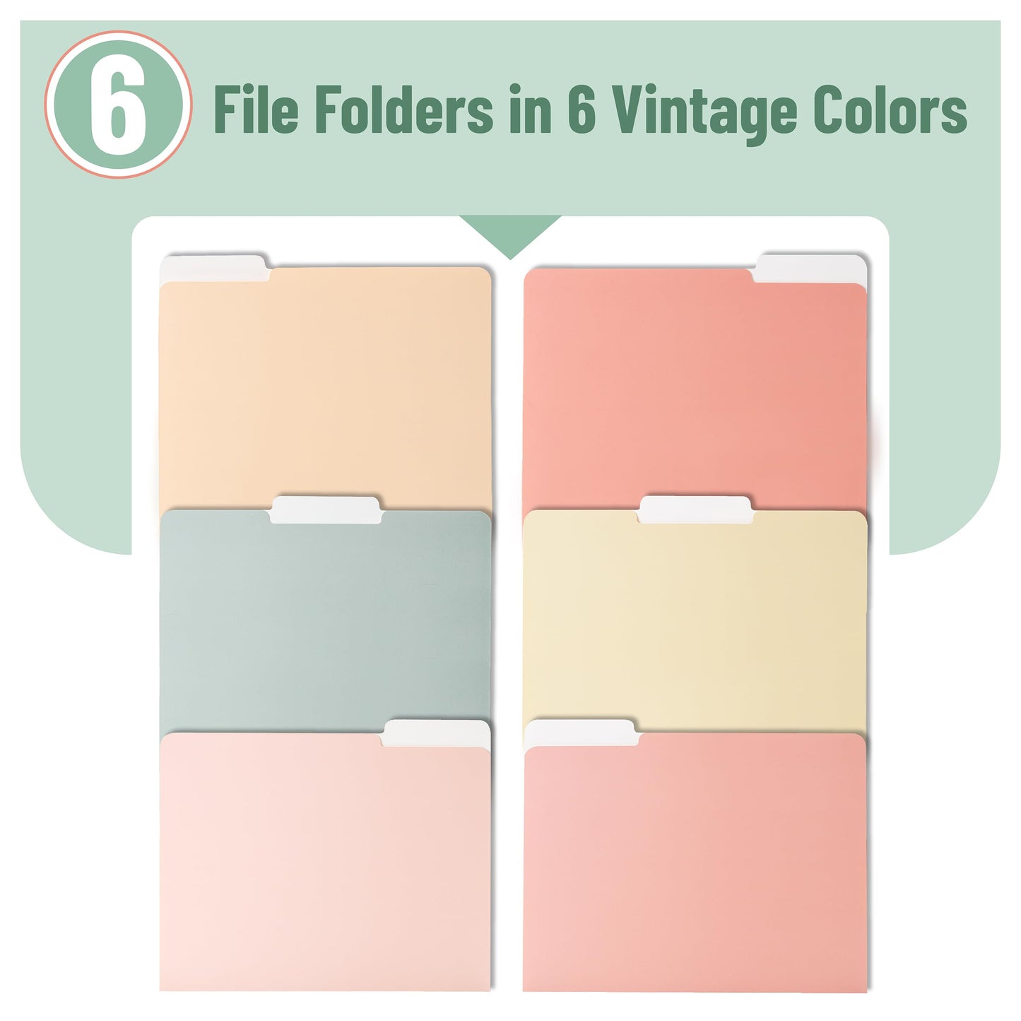 Pastel Colored Poly File Folders, 1/3 Cut Tab, 6 Pack, Letter Size, File Folders