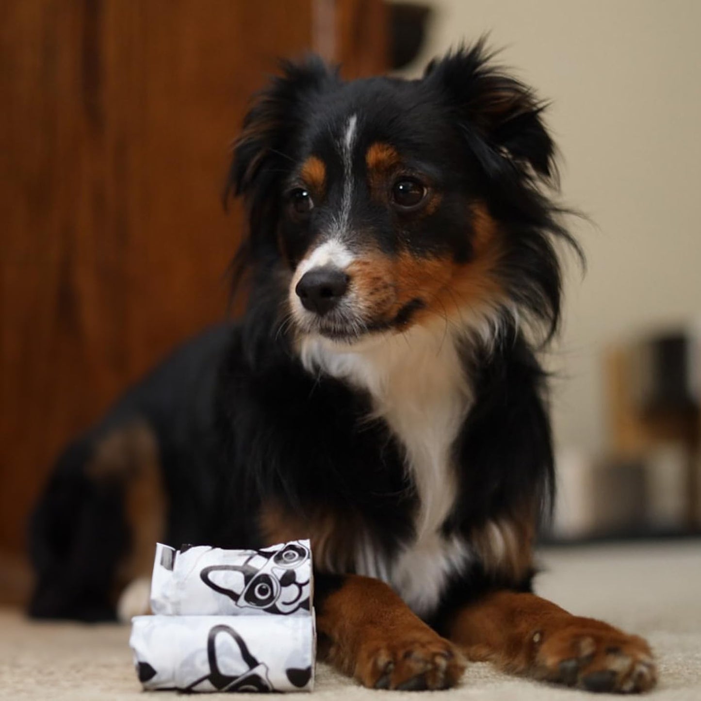 Dog Bags for Cleanup - Doggy Roll Replacements