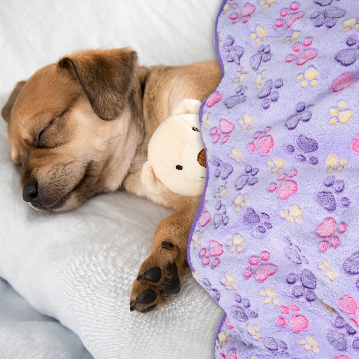 Soft Fluffy Fleece Blanket for Small, Medium and Large Dogs - Paw Print Pink Pet Blanket