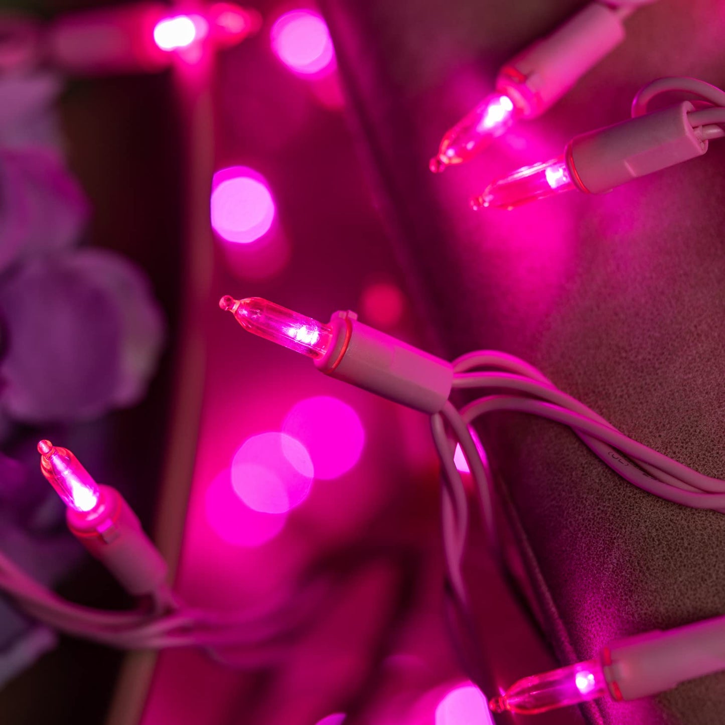 LED Christmas Lights with Color Wire