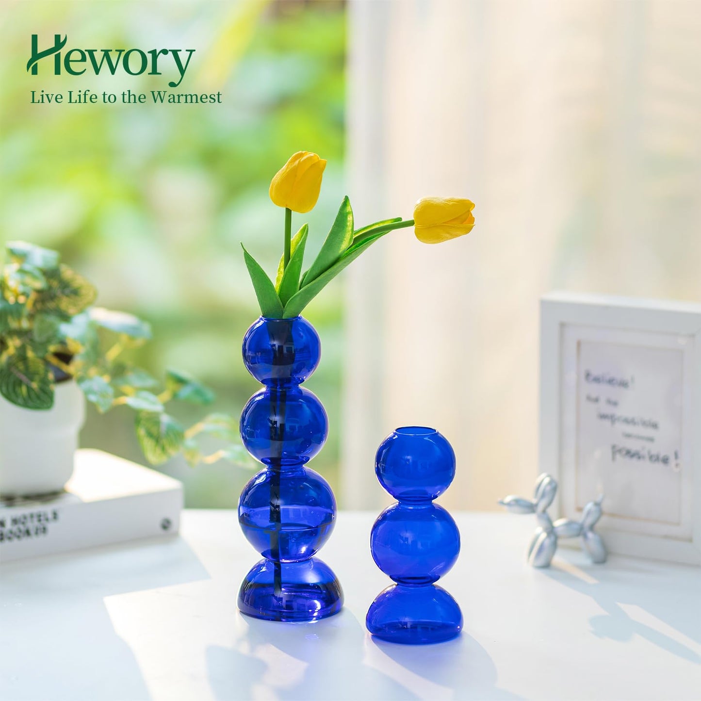 Glass Bubble Vases for Flowers