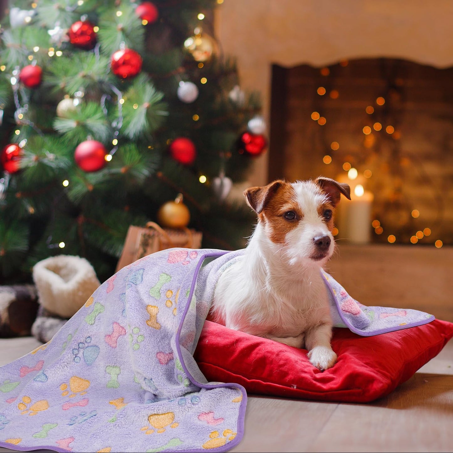 Soft Fluffy Fleece Blanket for Small, Medium and Large Dogs - Paw Print Pink Pet Blanket