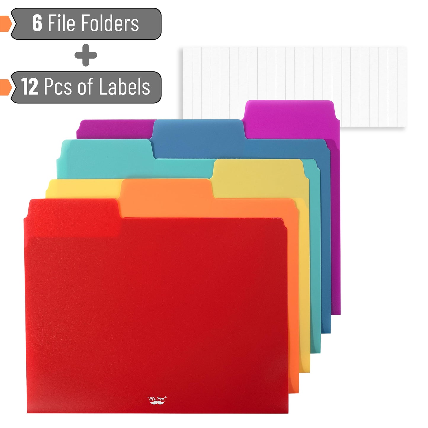 Pastel Colored Poly File Folders, 1/3 Cut Tab, 6 Pack, Letter Size, File Folders