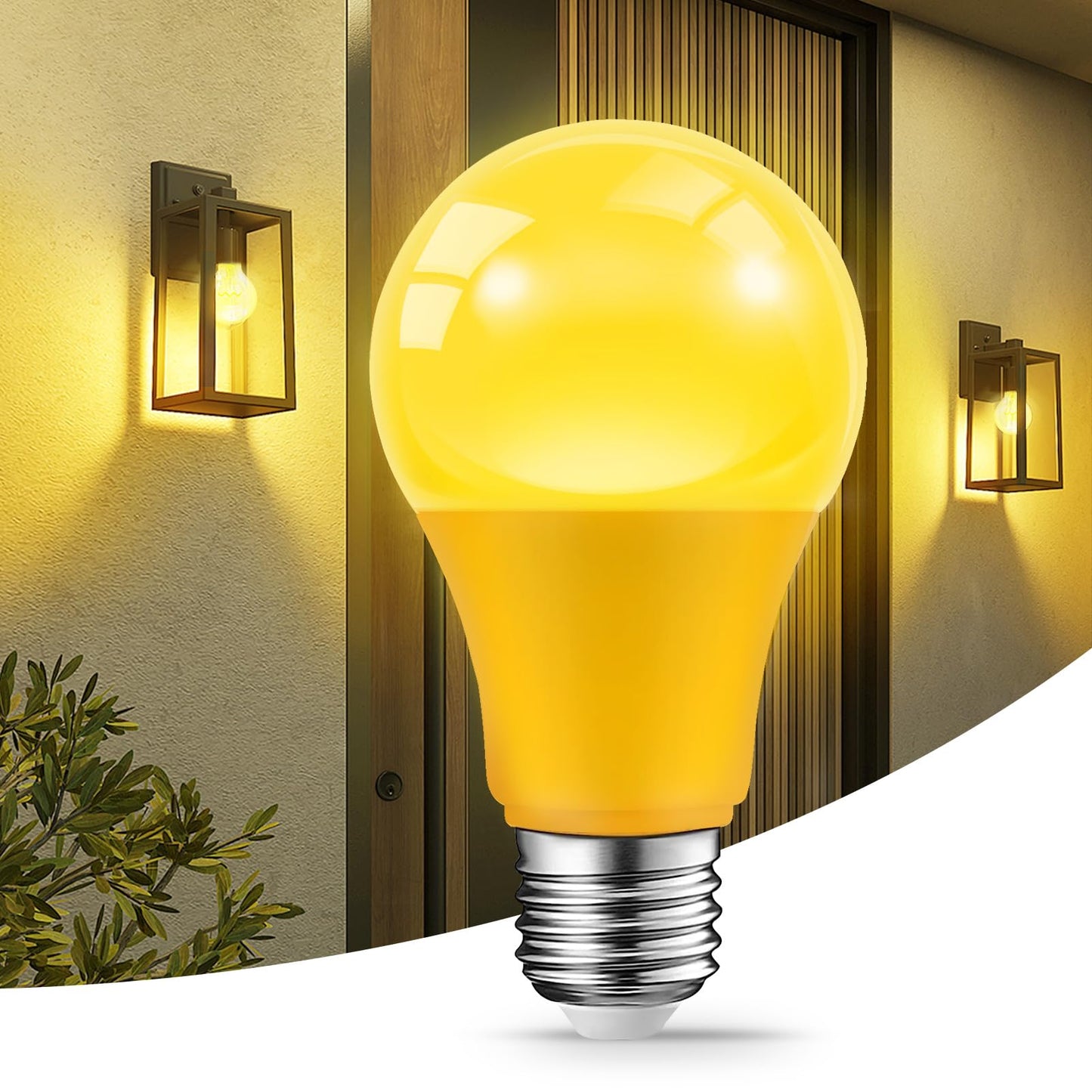 LED Light Bulbs