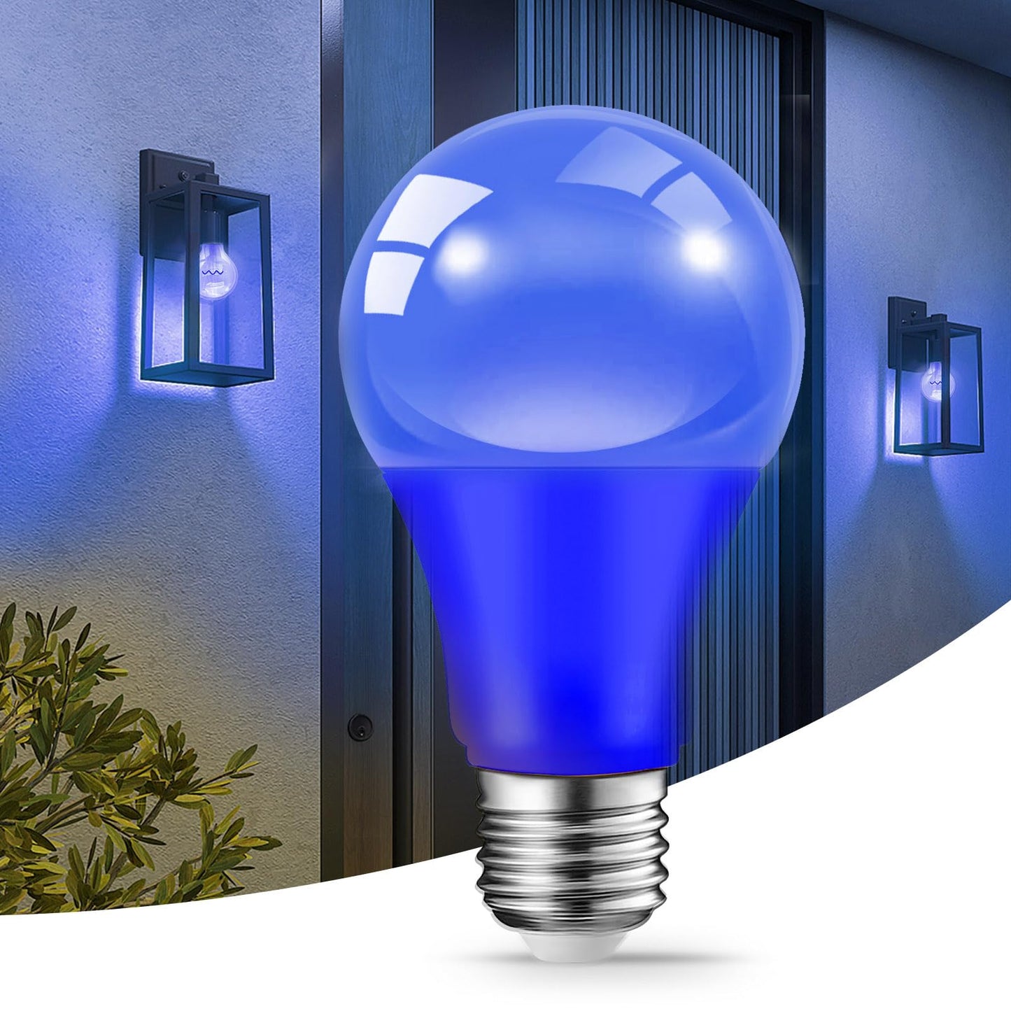 LED Light Bulbs