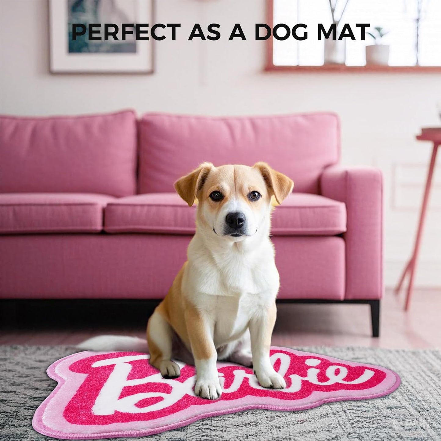 Non-Slip Washable BARBIE Entry Rug