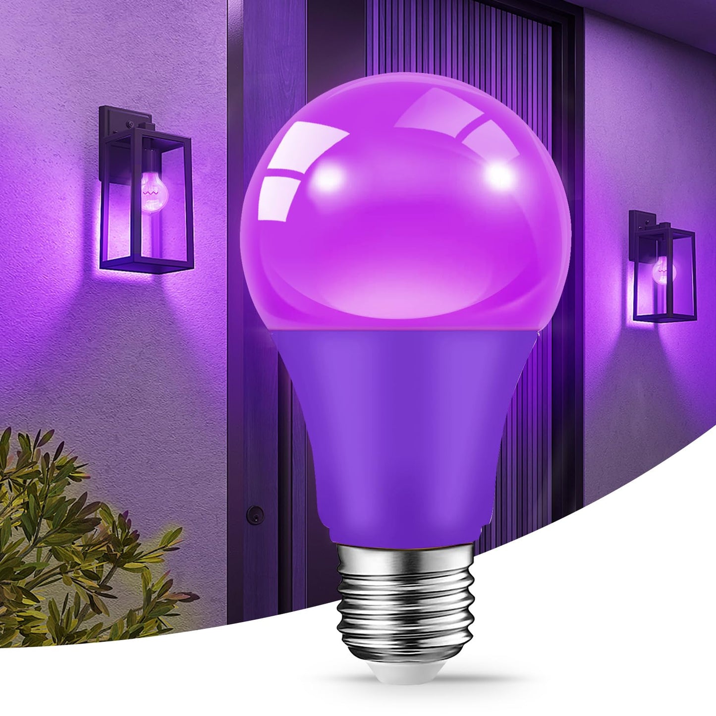 LED Light Bulbs