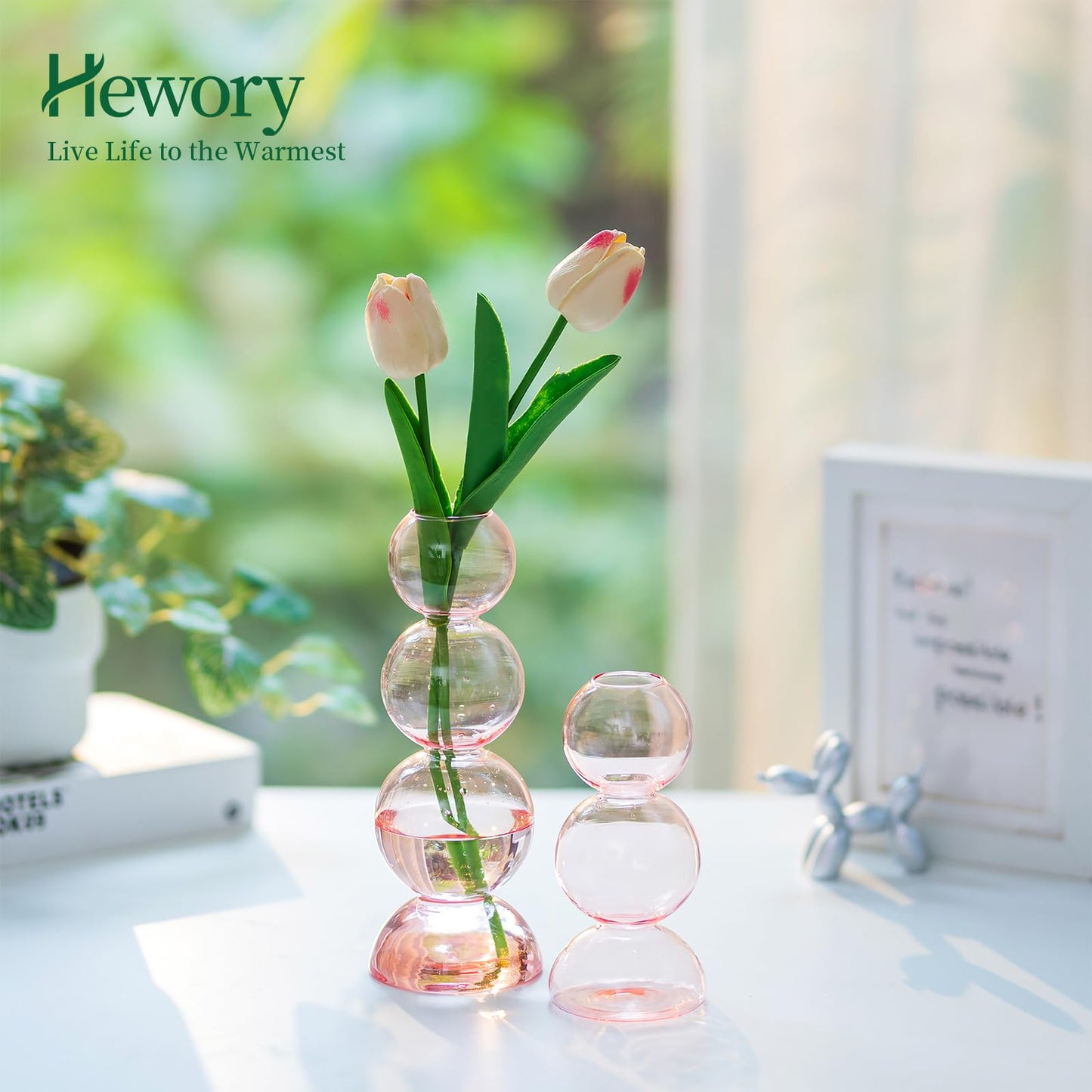 Glass Bubble Vases for Flowers