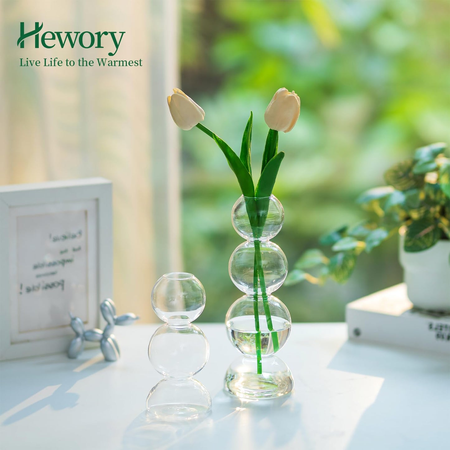 Glass Bubble Vases for Flowers