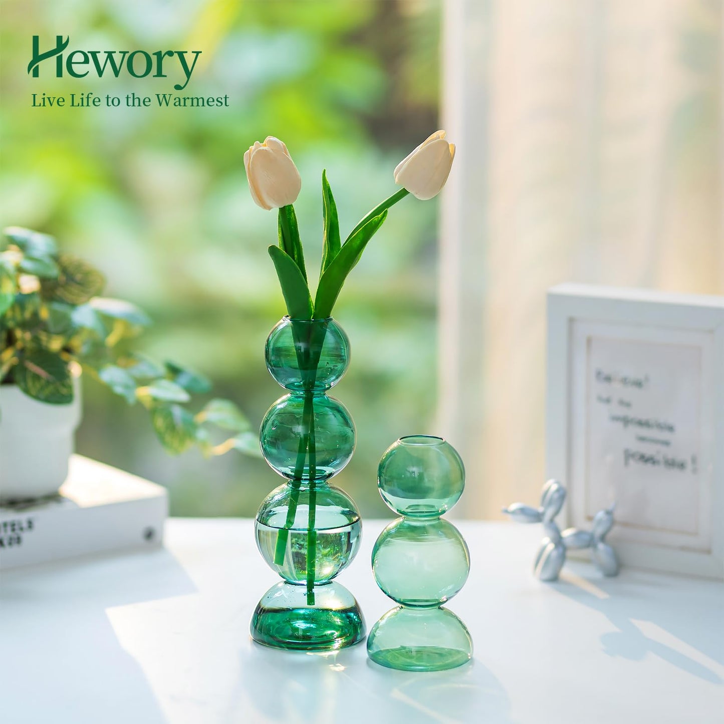 Glass Bubble Vases for Flowers