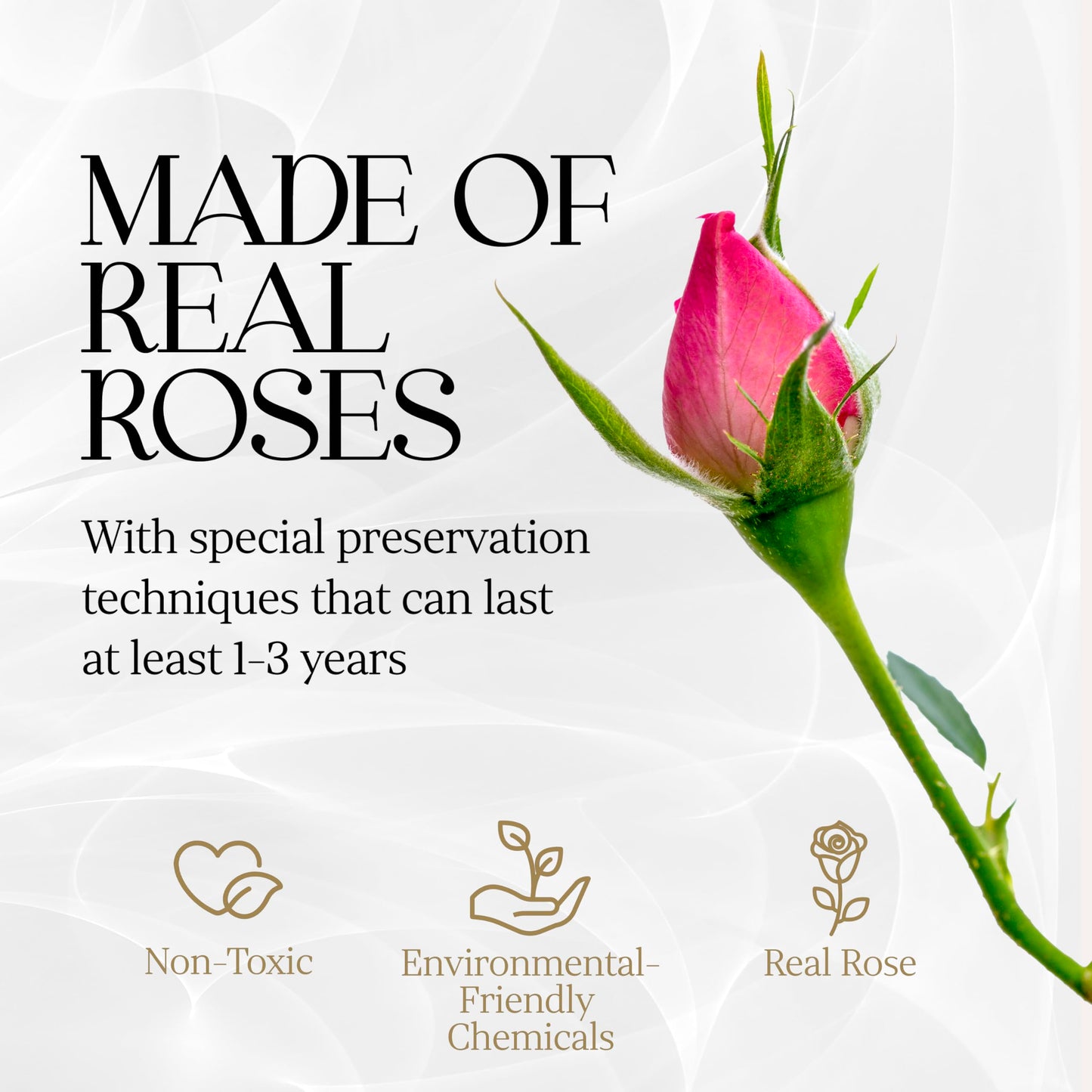 Forever Heart Shape Box - Preserved Roses