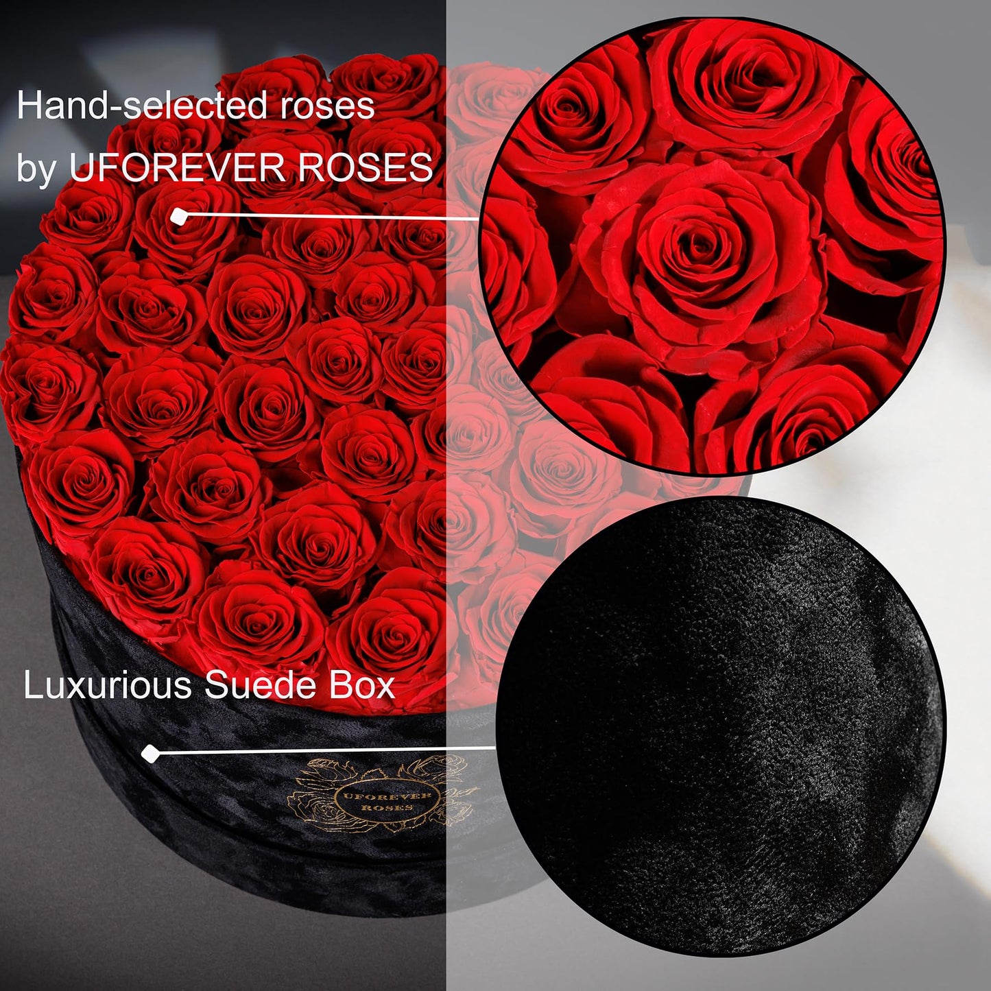 Pieces Preserved Roses in Suede Box, 40 PCS