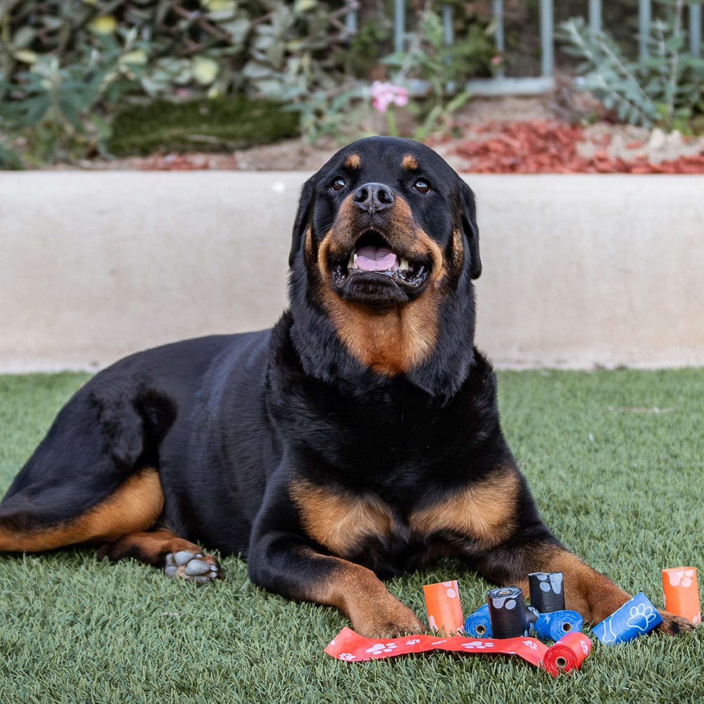 Dog Bags for Cleanup - Doggy Roll Replacements