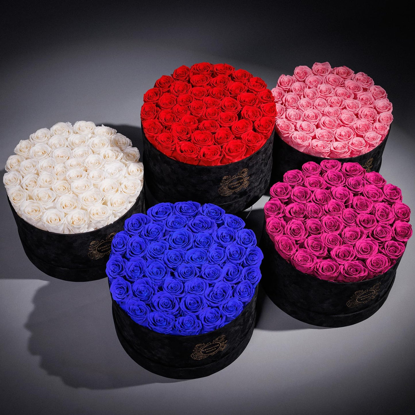 Pieces Preserved Roses in Suede Box, 40 PCS