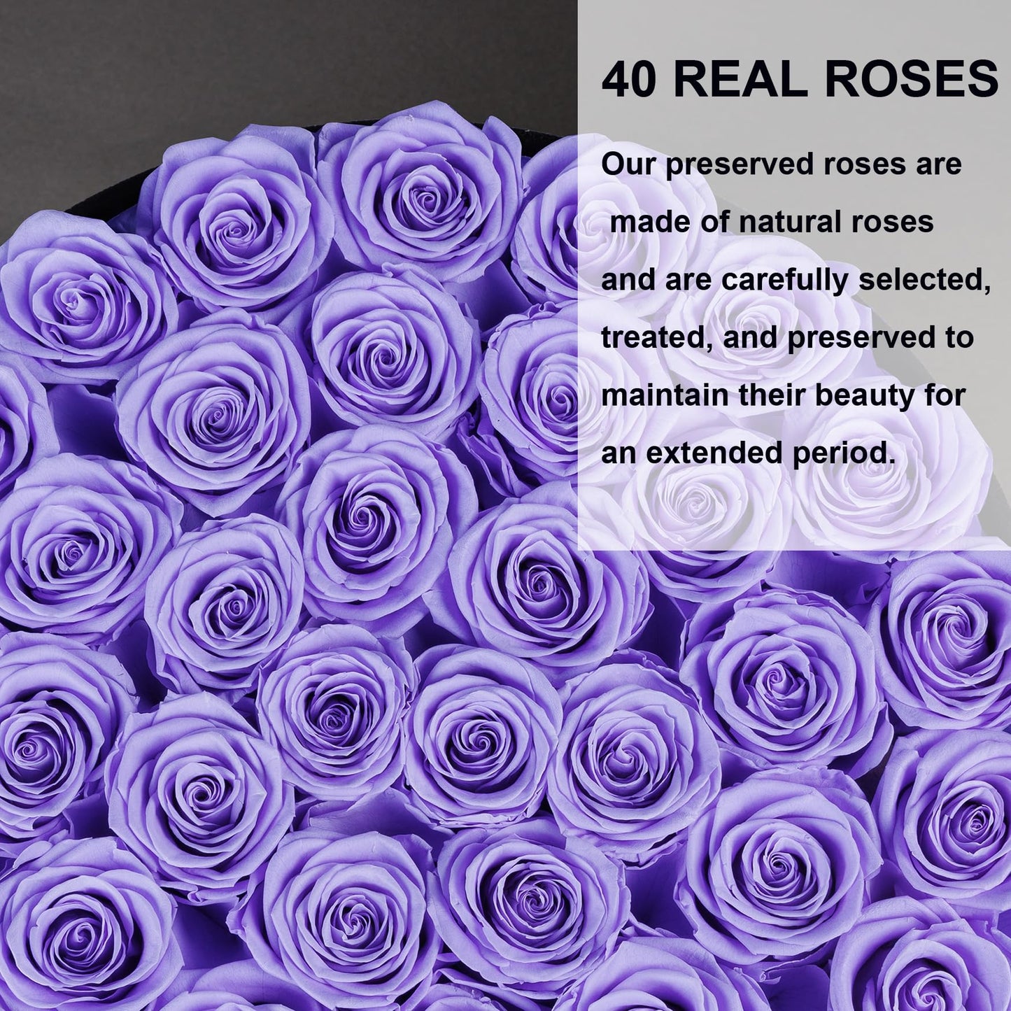 Pieces Preserved Roses in Suede Box, 40 PCS