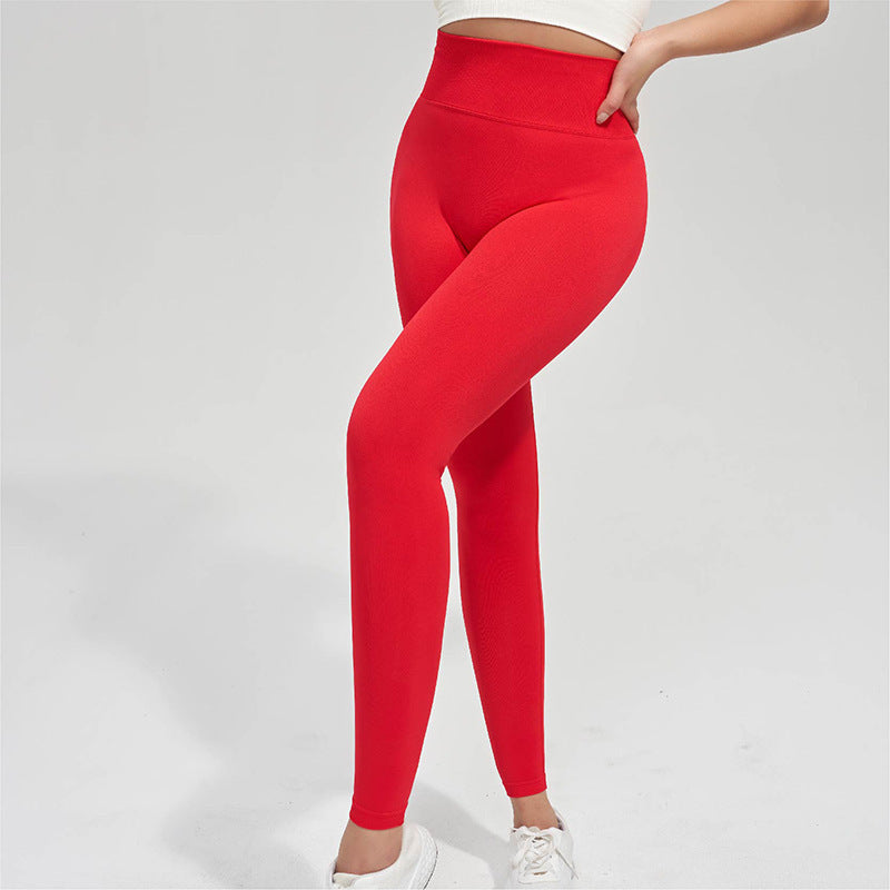 No Embarrassment Line Winter Yoga Pants