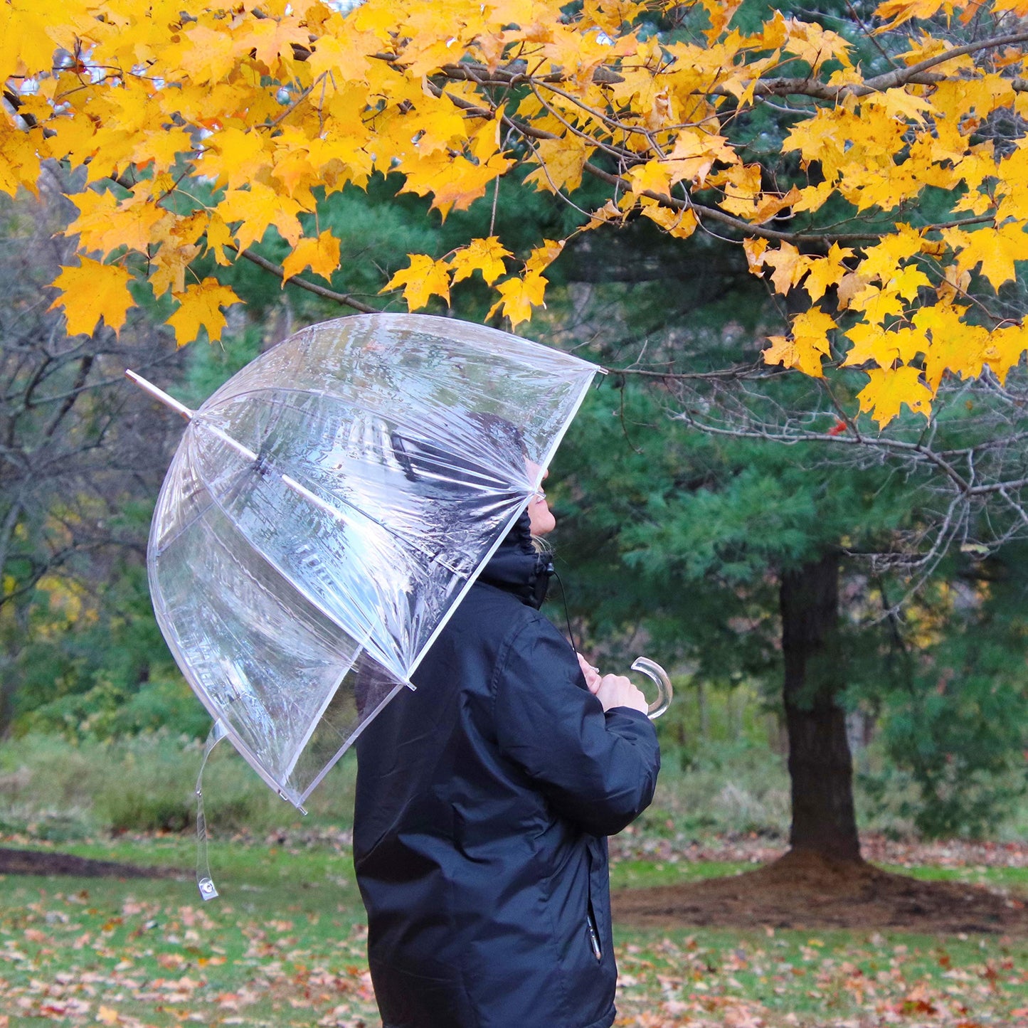 Umbrella with Dome Canopy and Lightweight Wind and Rain Protection