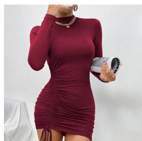 Turtleneck Purple Long Sleeve Pleated Tie Dress